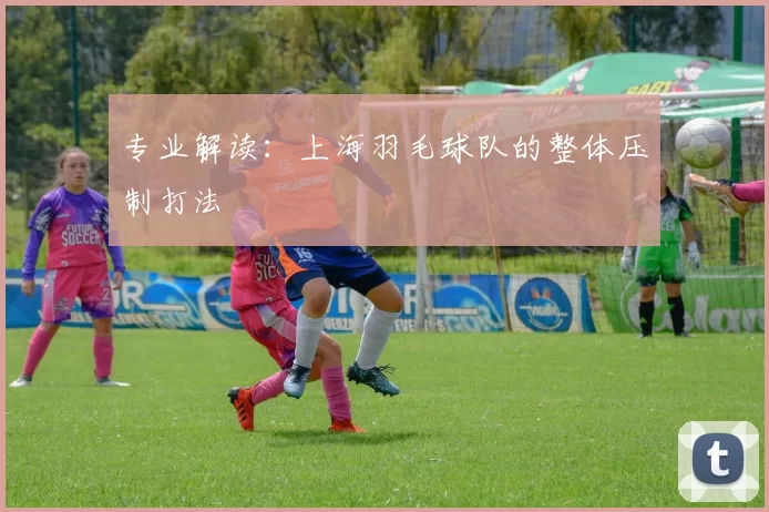 专业解读：上海羽毛球队的整体压制打法