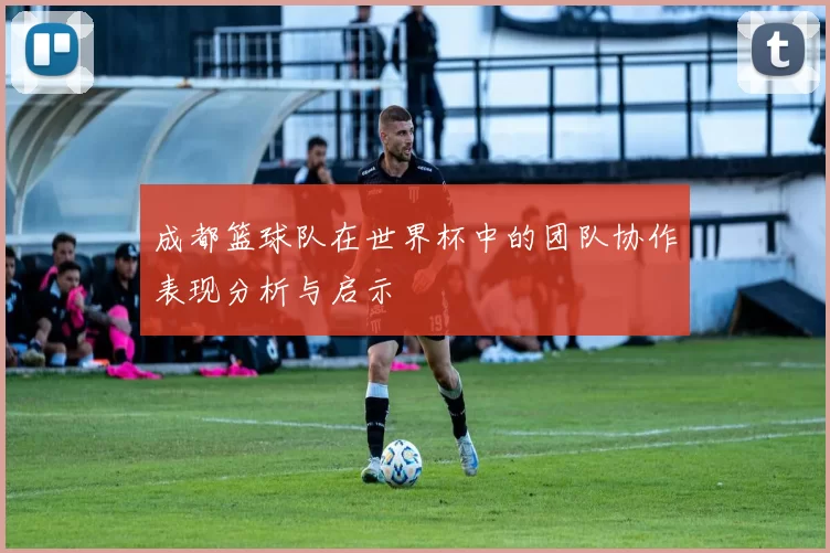 成都篮球队在世界杯中的团队协作表现分析与启示