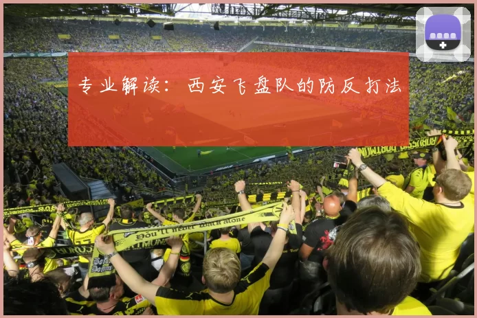 专业解读：西安飞盘队的防反打法