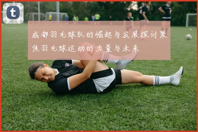 成都羽毛球队的崛起与发展探讨聚焦羽毛球运动的力量与未来