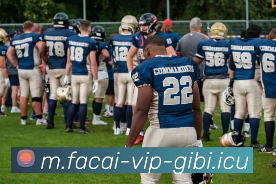 爱游戏体育平台生态图