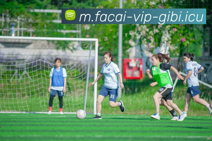 爱游戏体育全站App